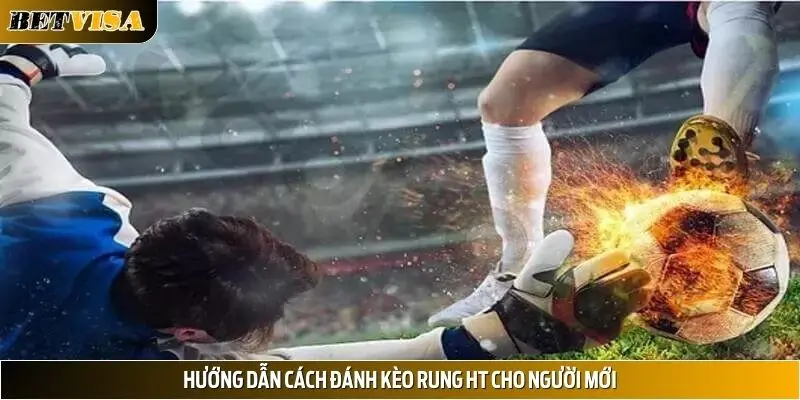 Hướng dẫn cách đánh kèo rung HT cho người mới