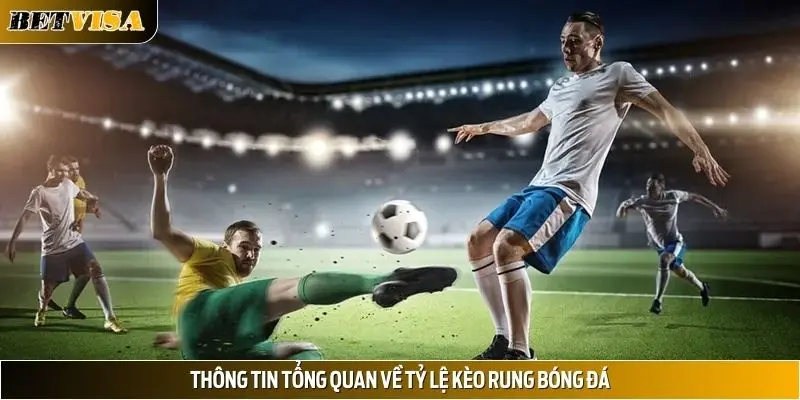 Thông tin tổng quan về tỷ lệ kèo rung bóng đá