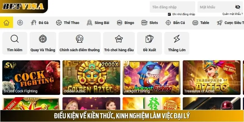 Điều kiện về kiến thức, kinh nghiệm cho công việc