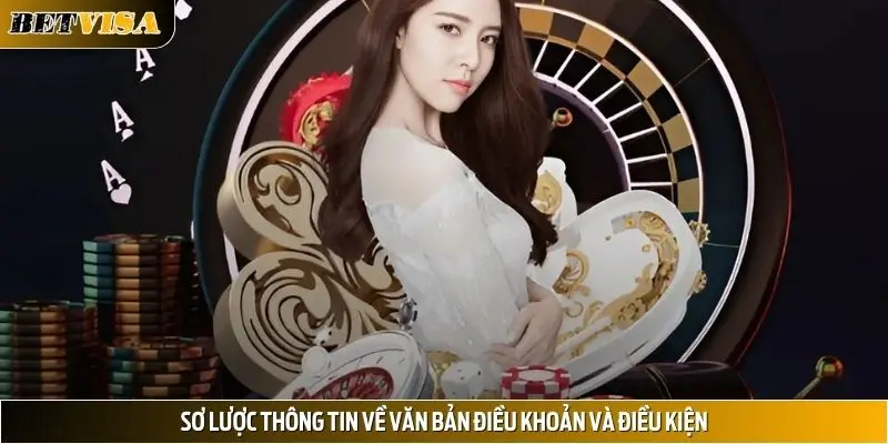 Sơ lược thông tin về văn bản Điều khoản và Điều kiện