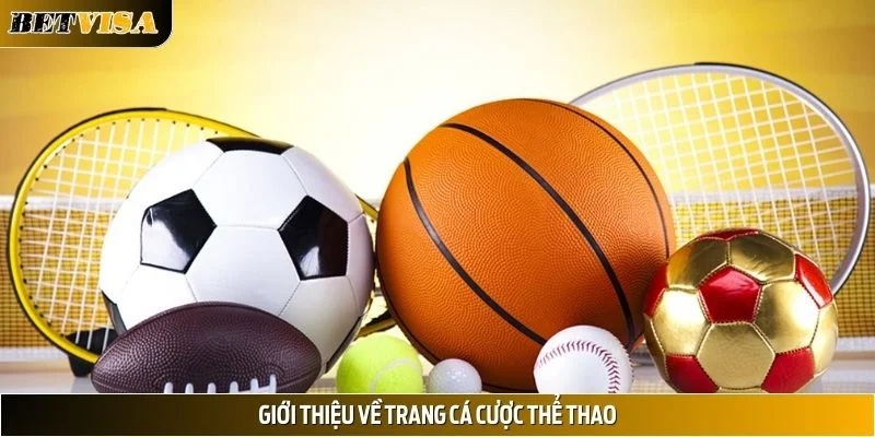 Vài điều cơ bản khi nhắc về trang cá cược thể thao