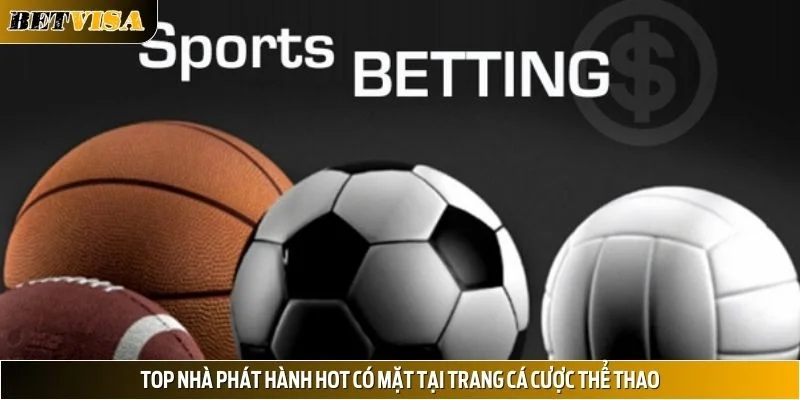 SBO được hội viên truy cập nhiều mỗi ngày